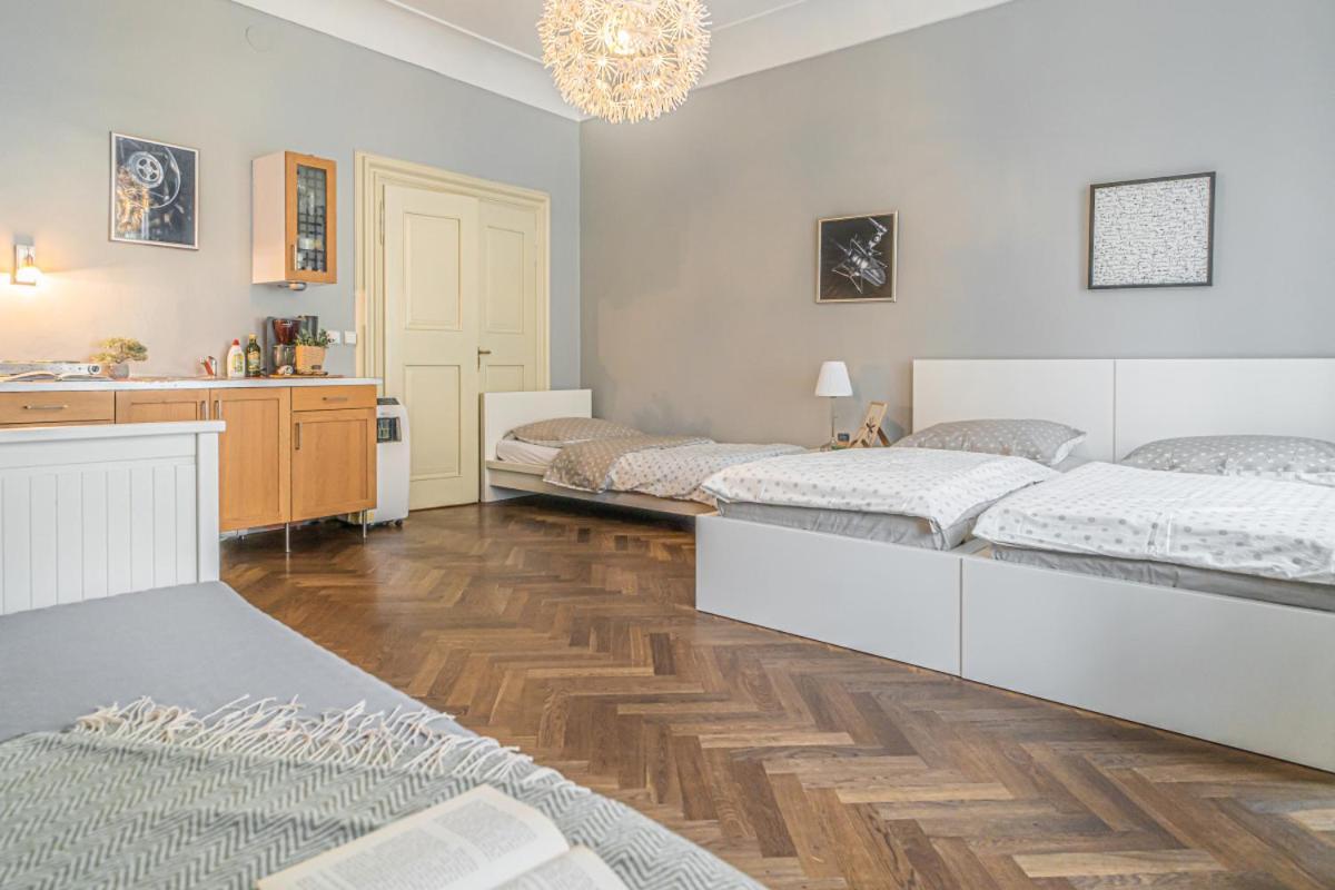 Bright Studio Close To Charles Bridge And Prague Castle Apartment Exterior foto